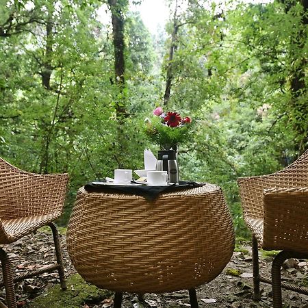 Ayar Jungle Resort Nainital Exteriör bild