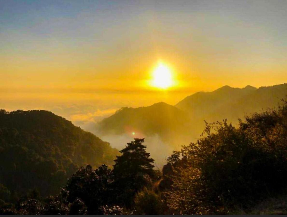 Ayar Jungle Resort Nainital Exteriör bild