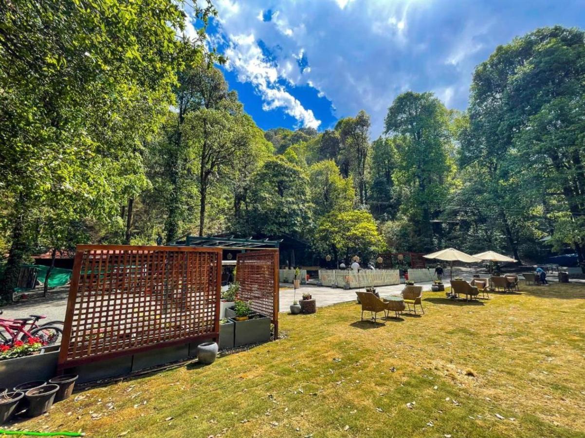 Ayar Jungle Resort Nainital Exteriör bild