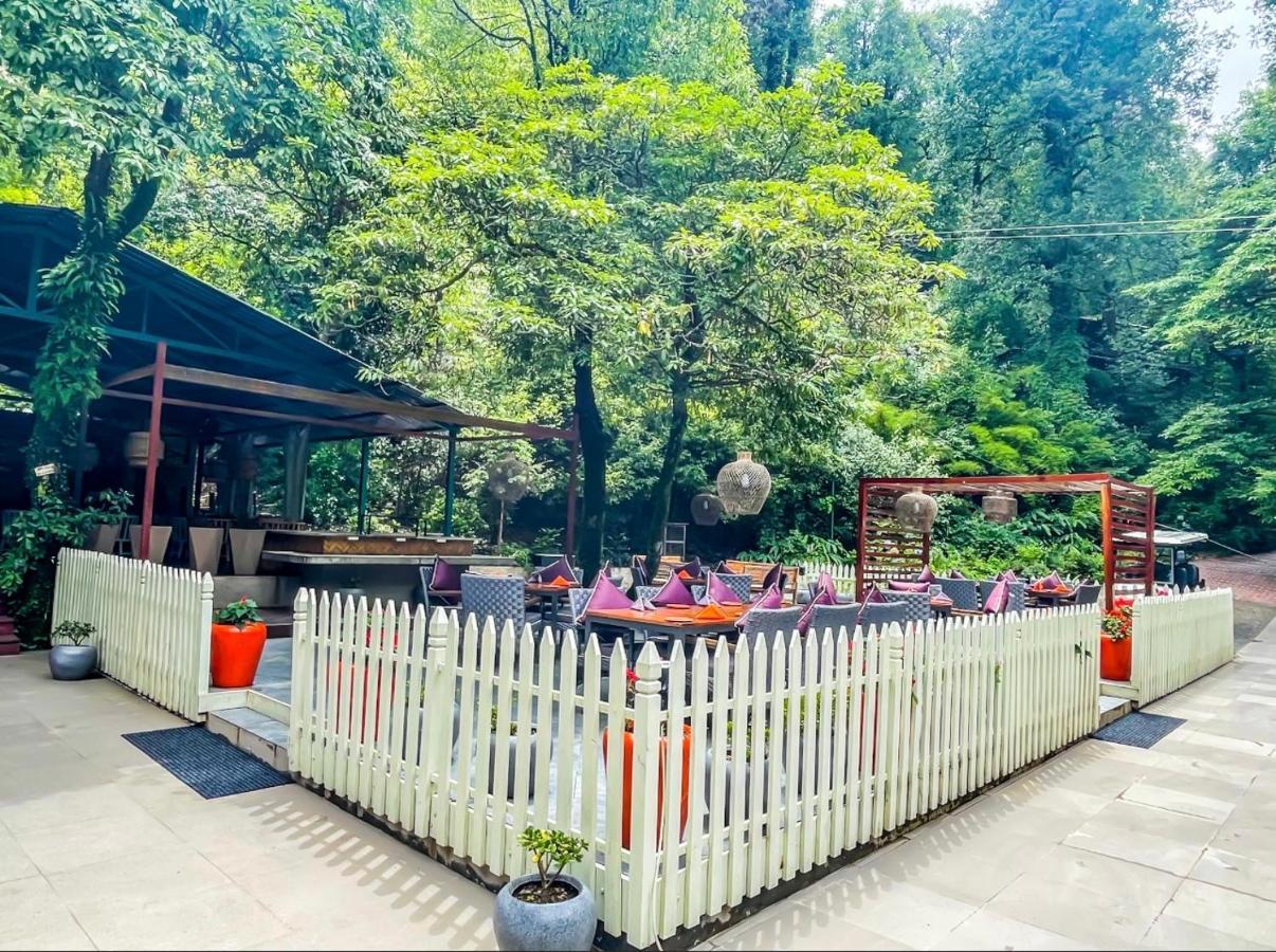 Ayar Jungle Resort Nainital Exteriör bild