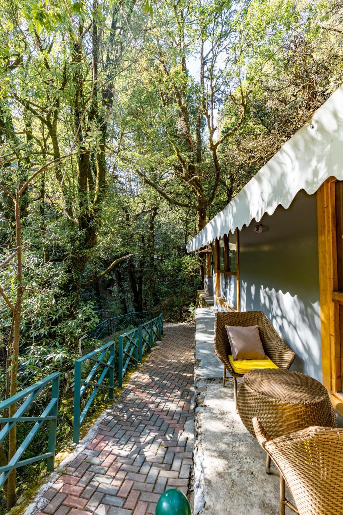 Ayar Jungle Resort Nainital Exteriör bild