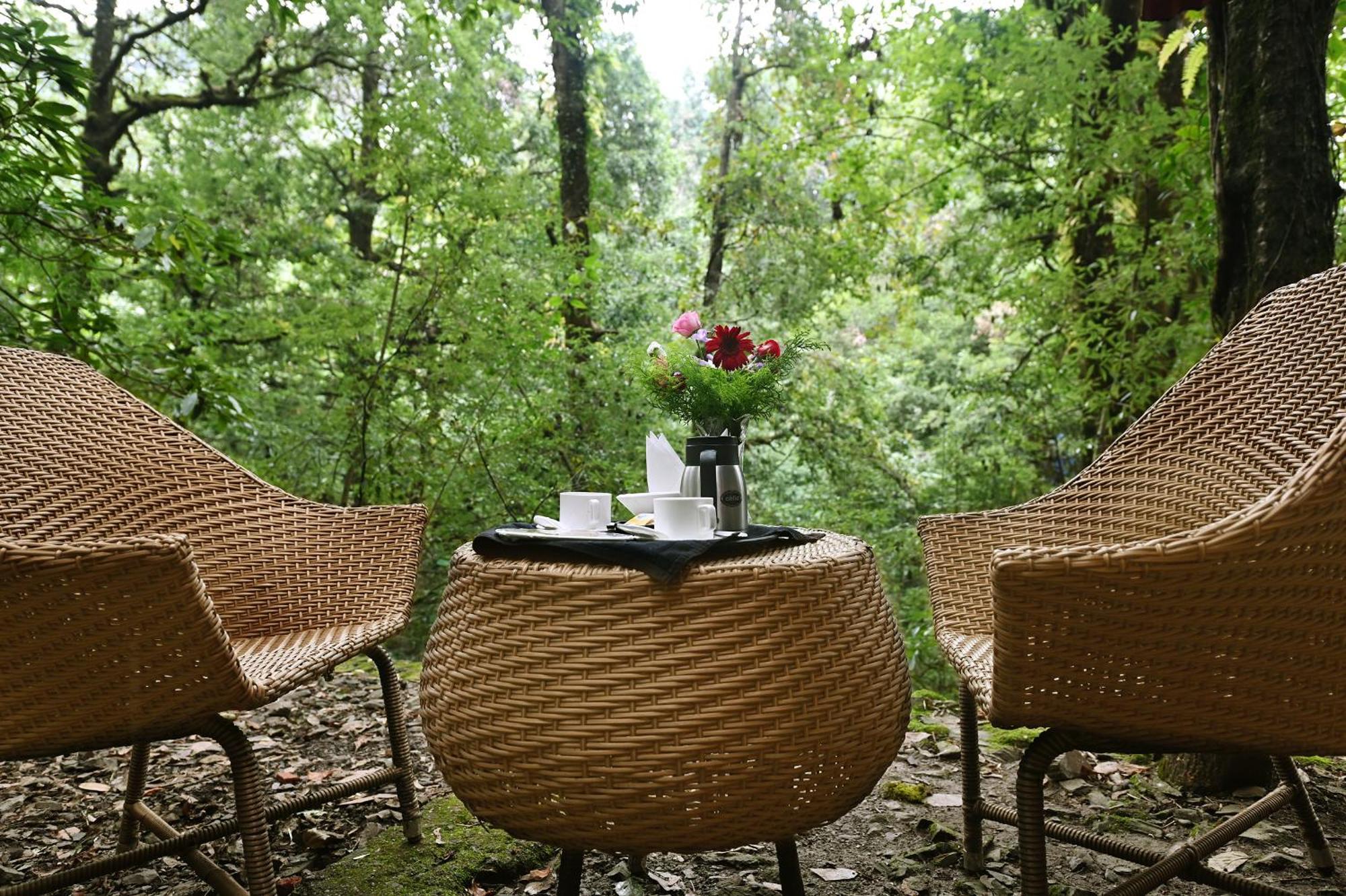 Ayar Jungle Resort Nainital Exteriör bild